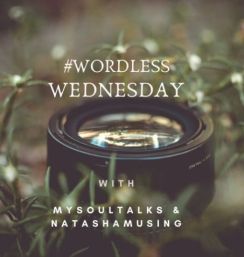 wordlessWednesdayLogo