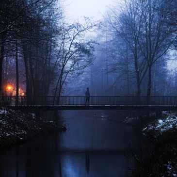 cold snow wood light