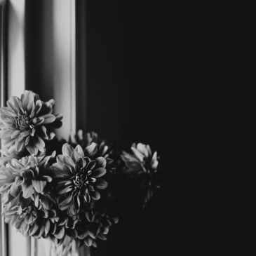 grayscale photo of flowers