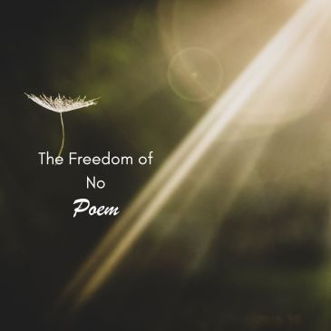 Free falling dandelion