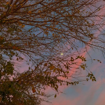 A glimpse of a beautiful evening