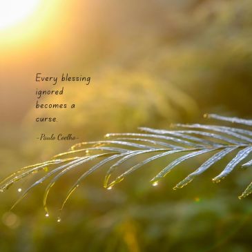 Quotes