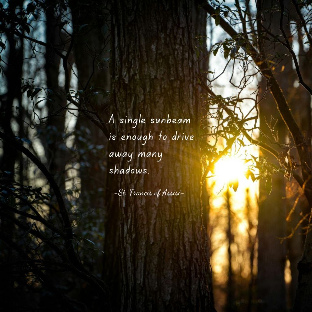 Quotes
