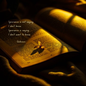 Quotes