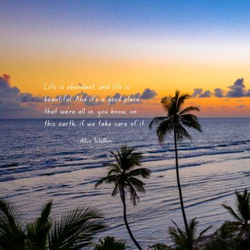 Quotes