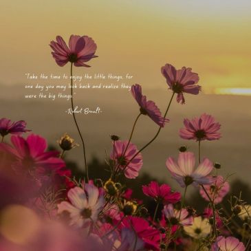Quotes