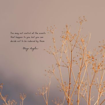 Quotes