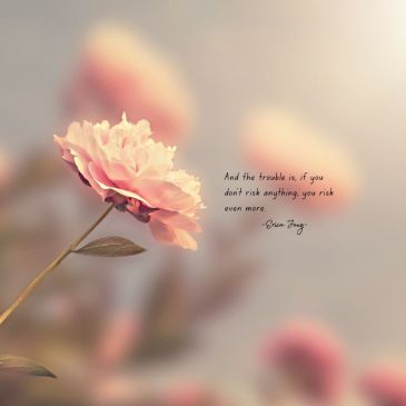 Quotes