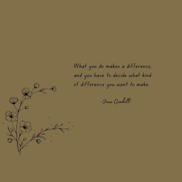 Quotes