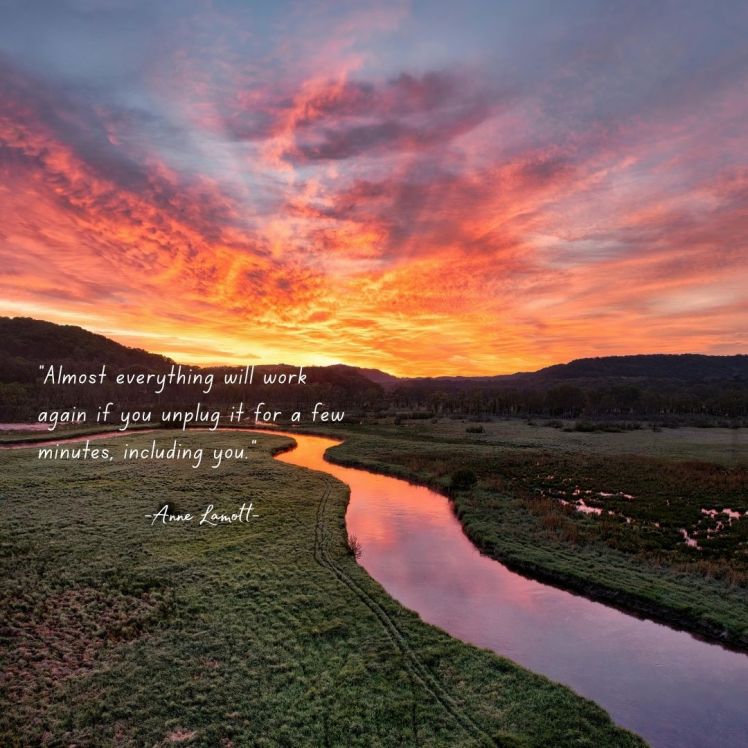 Quotes