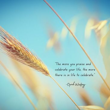 Quotes